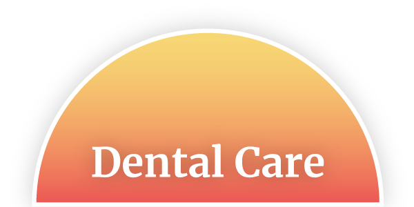 Veterinarian Dental Care